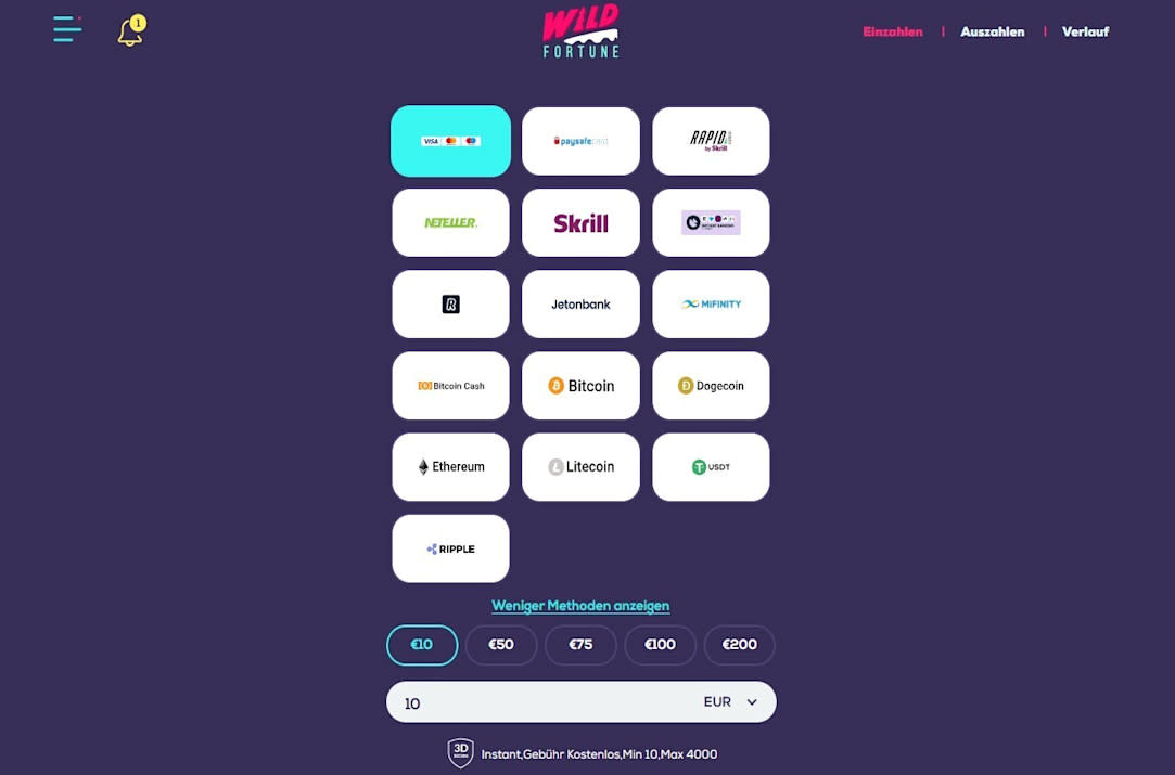 screenshot of the payment page