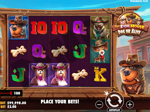 The Dog House Screenshot 4