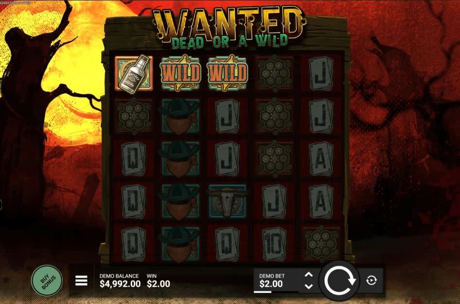 Wanted Dead or a Wild  