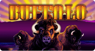 Buffalo