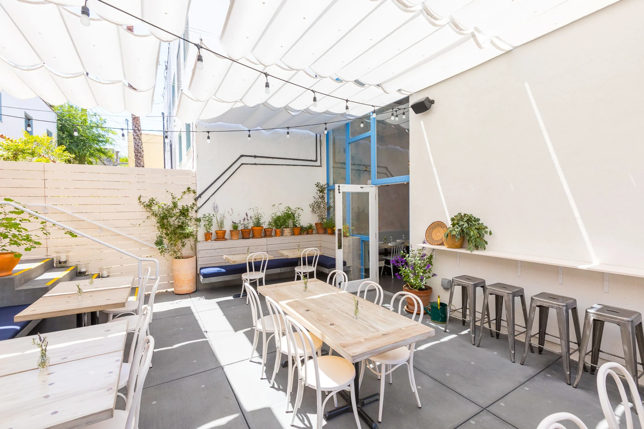 0517.Botanica.JakobLayman 13-2048x1365