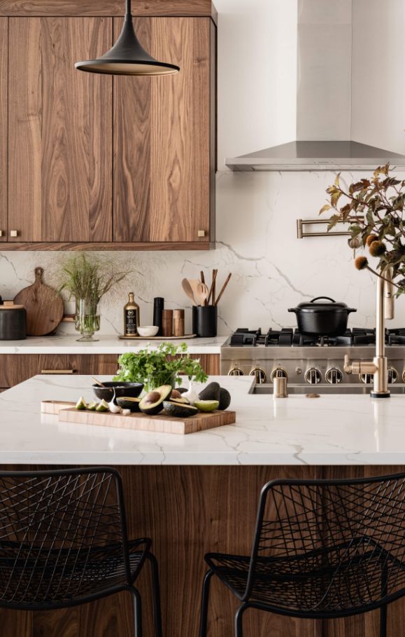 kitchen interior dark wood