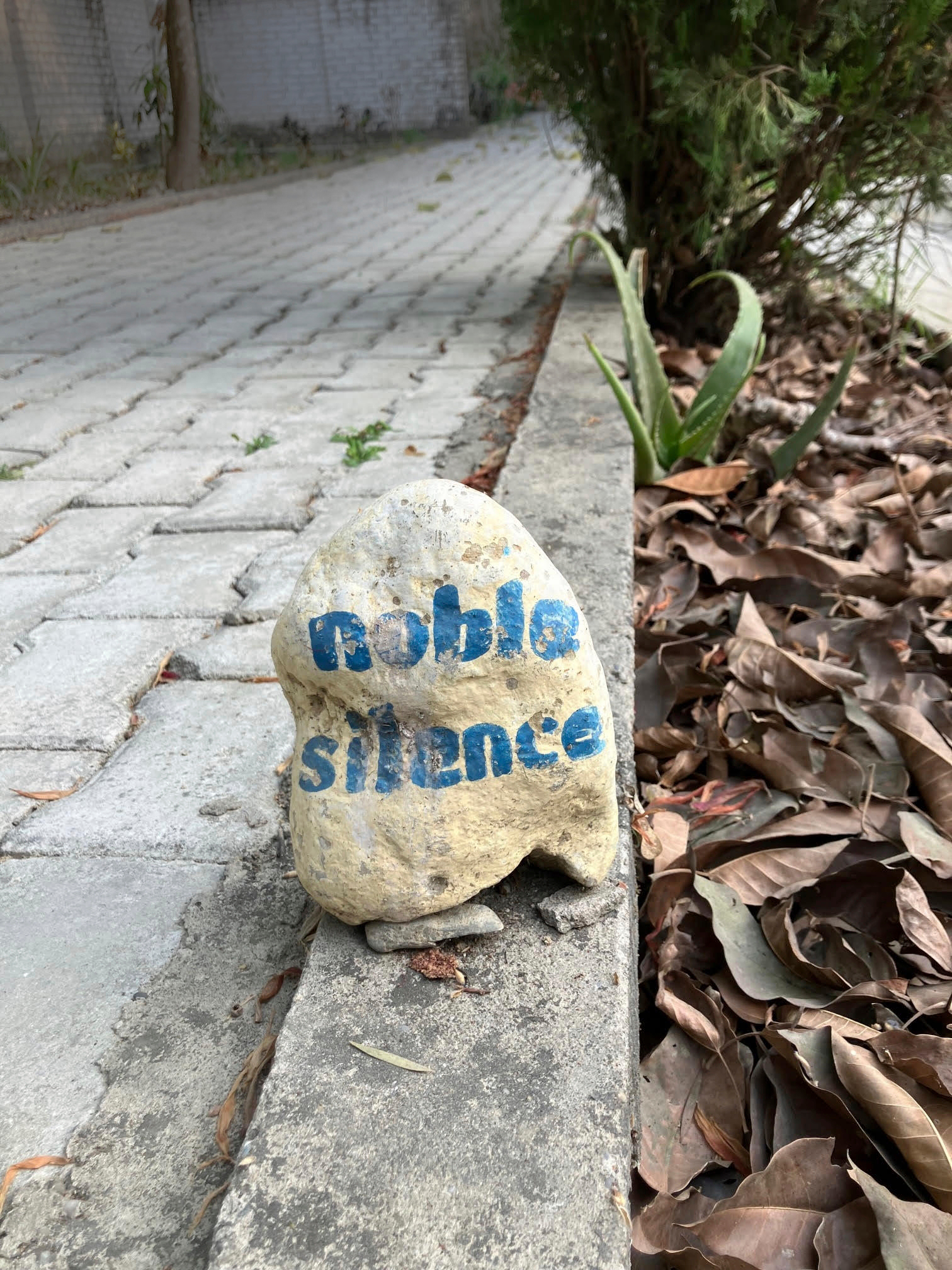Kivi, johon kirjoitettu Noble Silence
