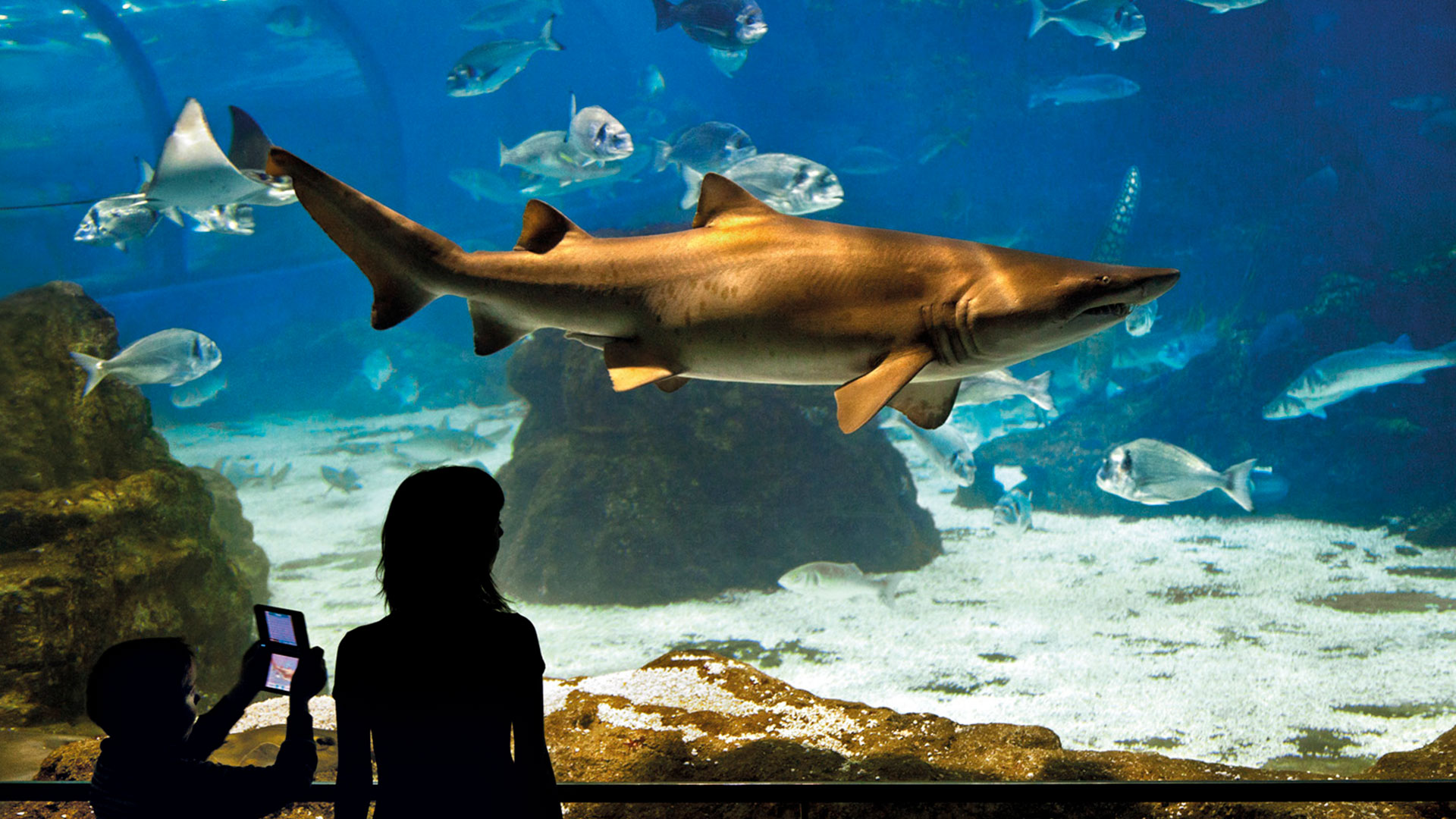 L'Aquarium Barcelona