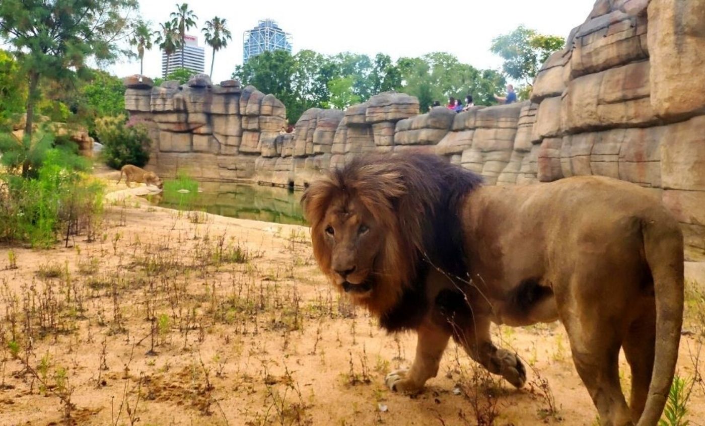 Zoo de Barcelona