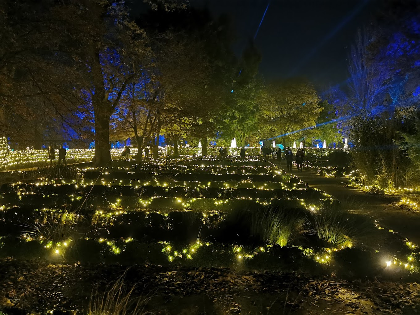 Real Jardín Botánico