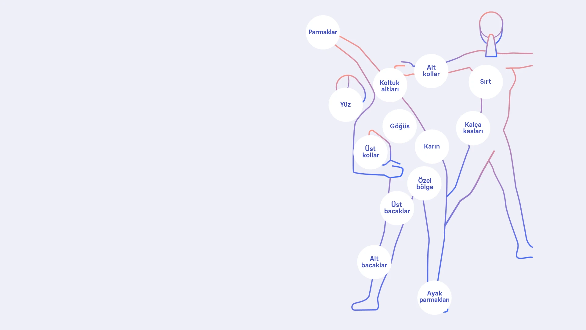 IPL'in kullanılabileceği tüm vücut bölgelerini gösteren grafik