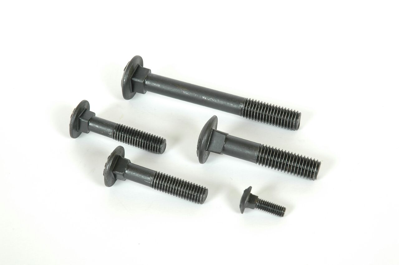 Carriage Bolt