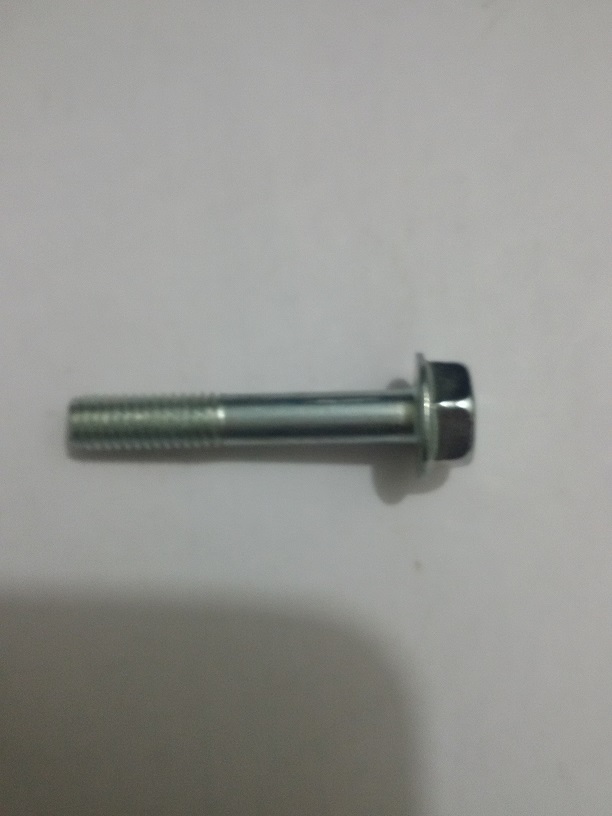 Flange Bolt