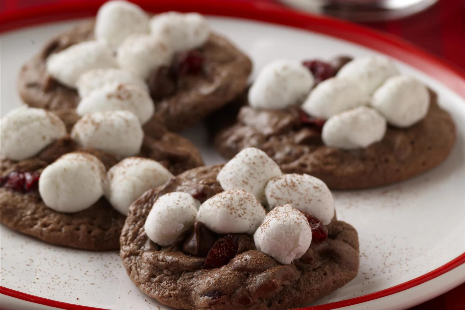 Santa's Chocolate Craisins® Biscuits