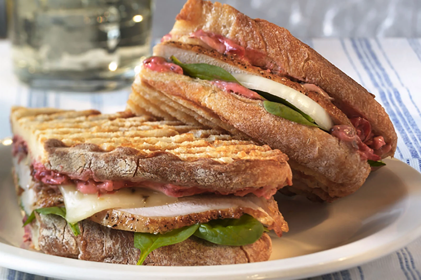 Turkey and Cranberry Panini