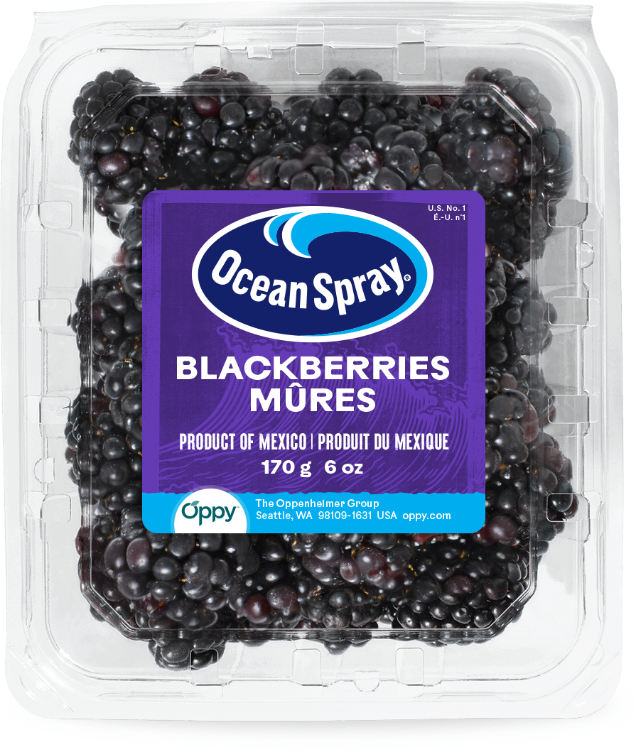 Fresh Blackberries
