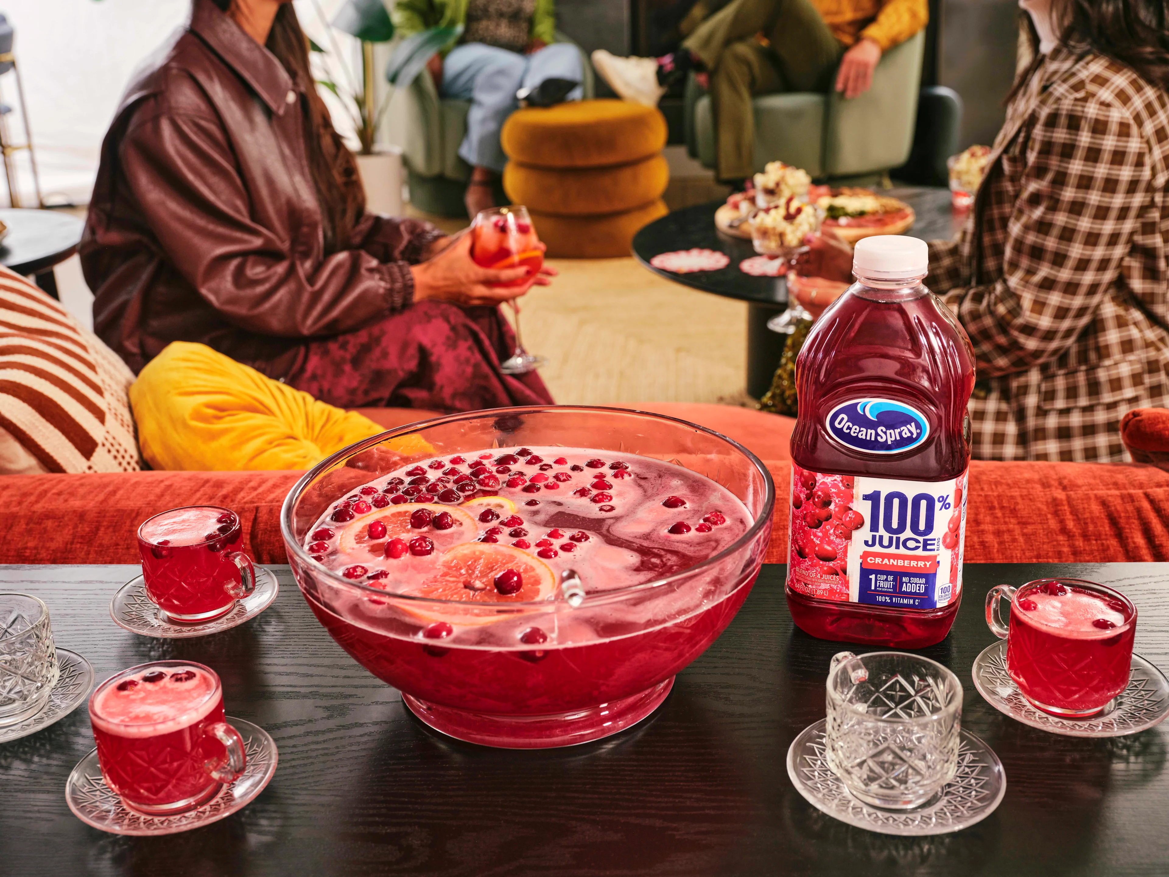 Cranberry Fizz Punch