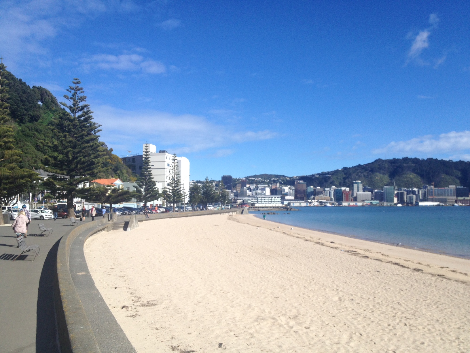 wellington