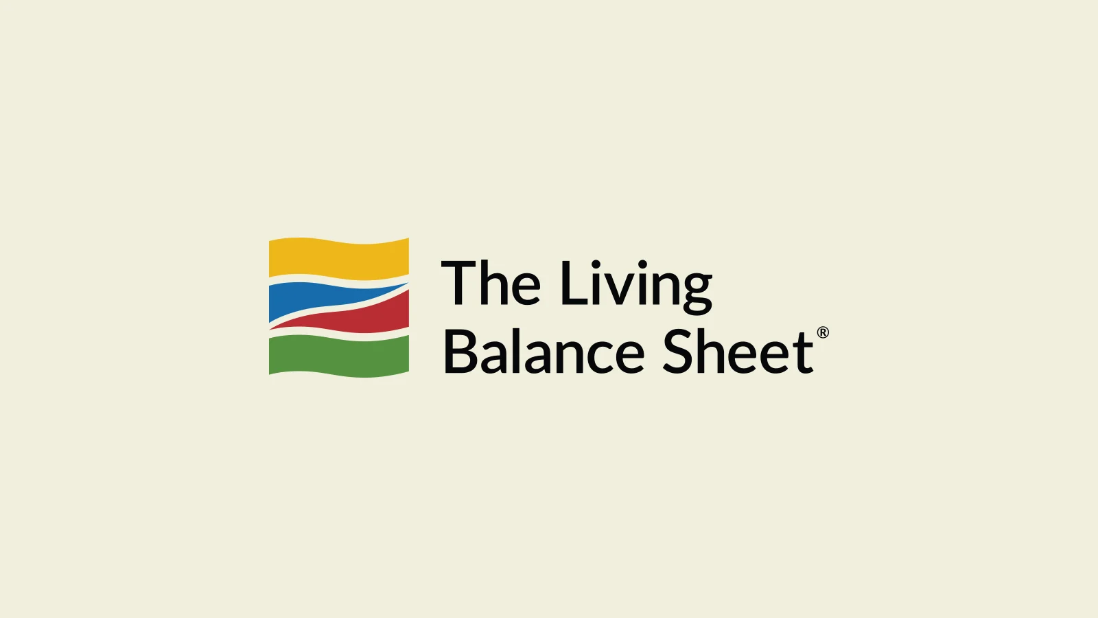 The Living Balance Sheet Logo