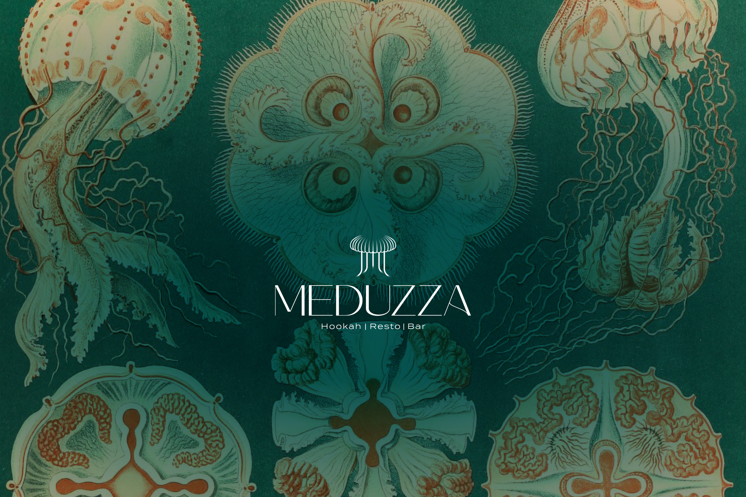 Meduzza
