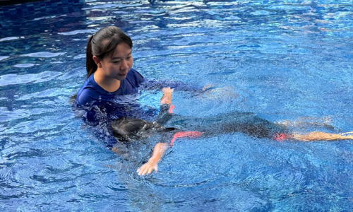 /blog/teaching-diving-skills-safely