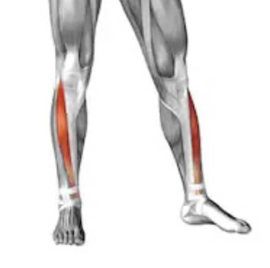 Chapter 1 of the Knee Ability Zero Picture-Book | ATG Exercise