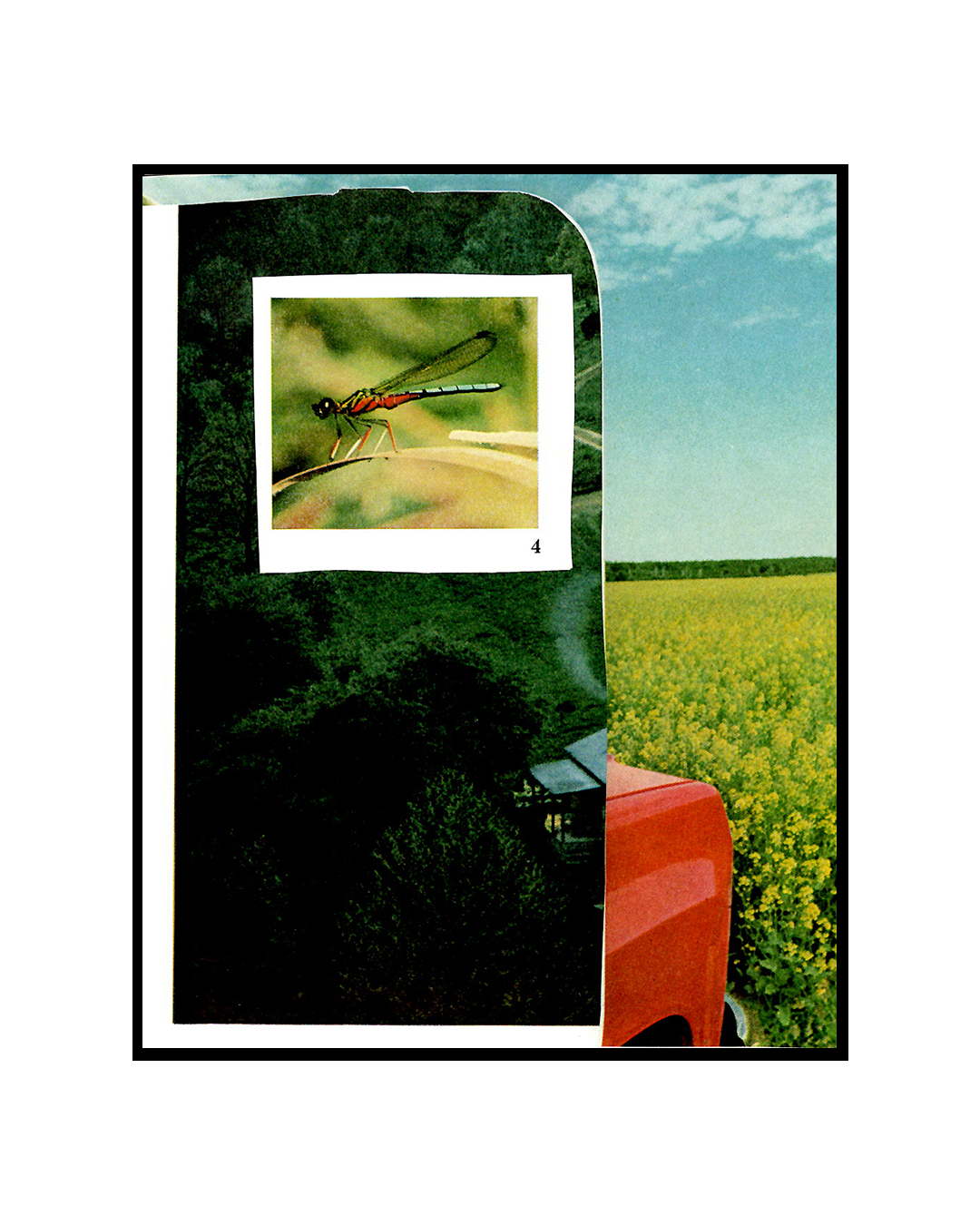 Collage of a dragonfly, field of yellow flowers, and a farm
