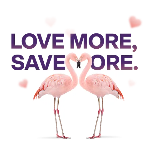 "LOVE MORE, SAVE MORE". Two pink flamingos standing face-to-face Their necks curved to form a heart shape, with small floating hearts scattered around.