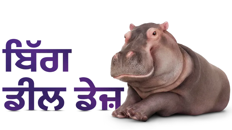 'ਬਿੱਗ ਡੀਲ ਡੇਜ਼' ਲਿਖੇ ਗ੍ਰਾਫਿਕ ਦੇ ਕੋਲ ਇੱਕ ਦਰਿਆਈ ਘੋੜਾ ਬੈਠਿਆ ਹੋਇਆ ਹੈ।