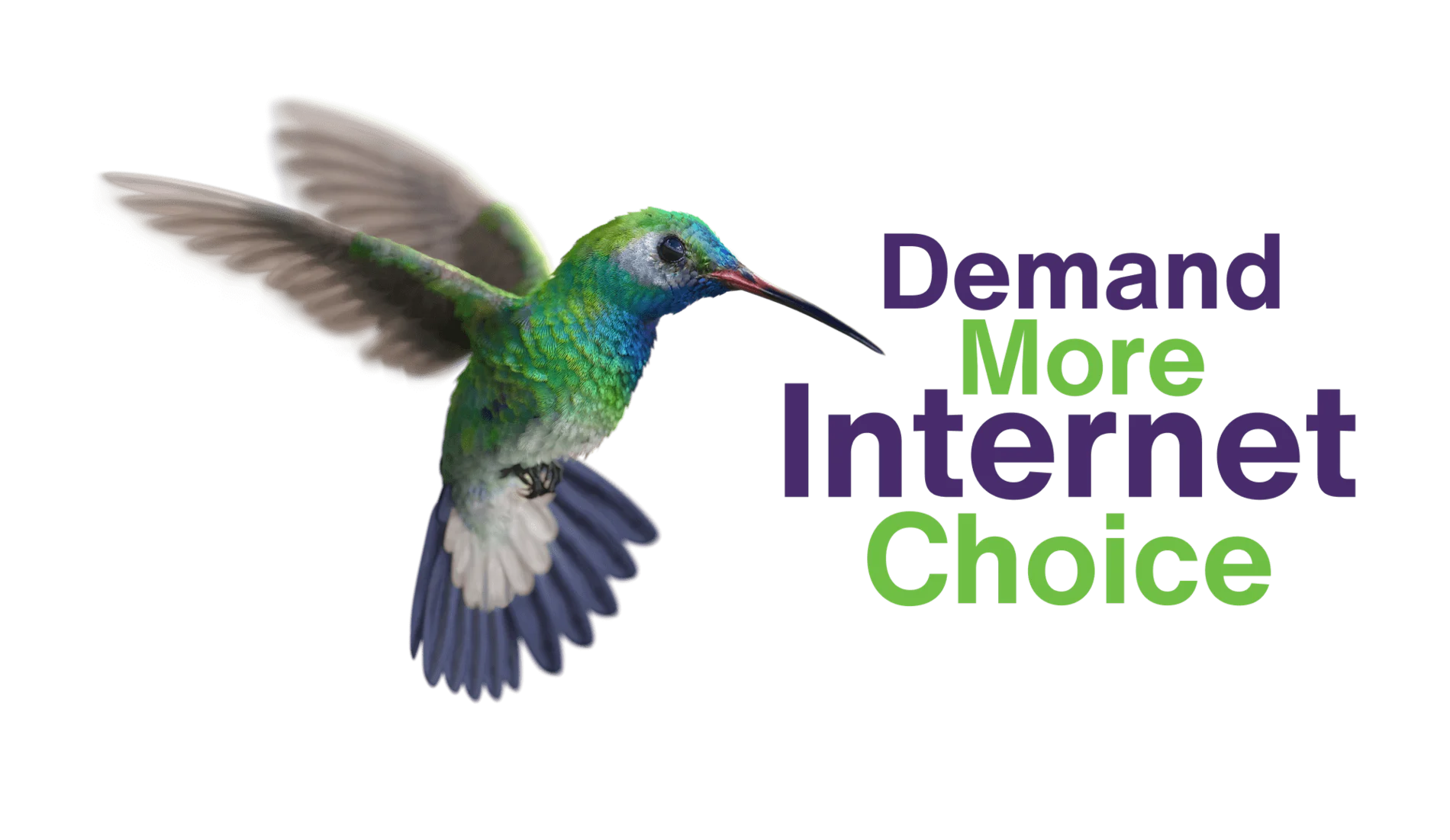 Hummingbird hovering over a text that says: Demand More Internet Choice.