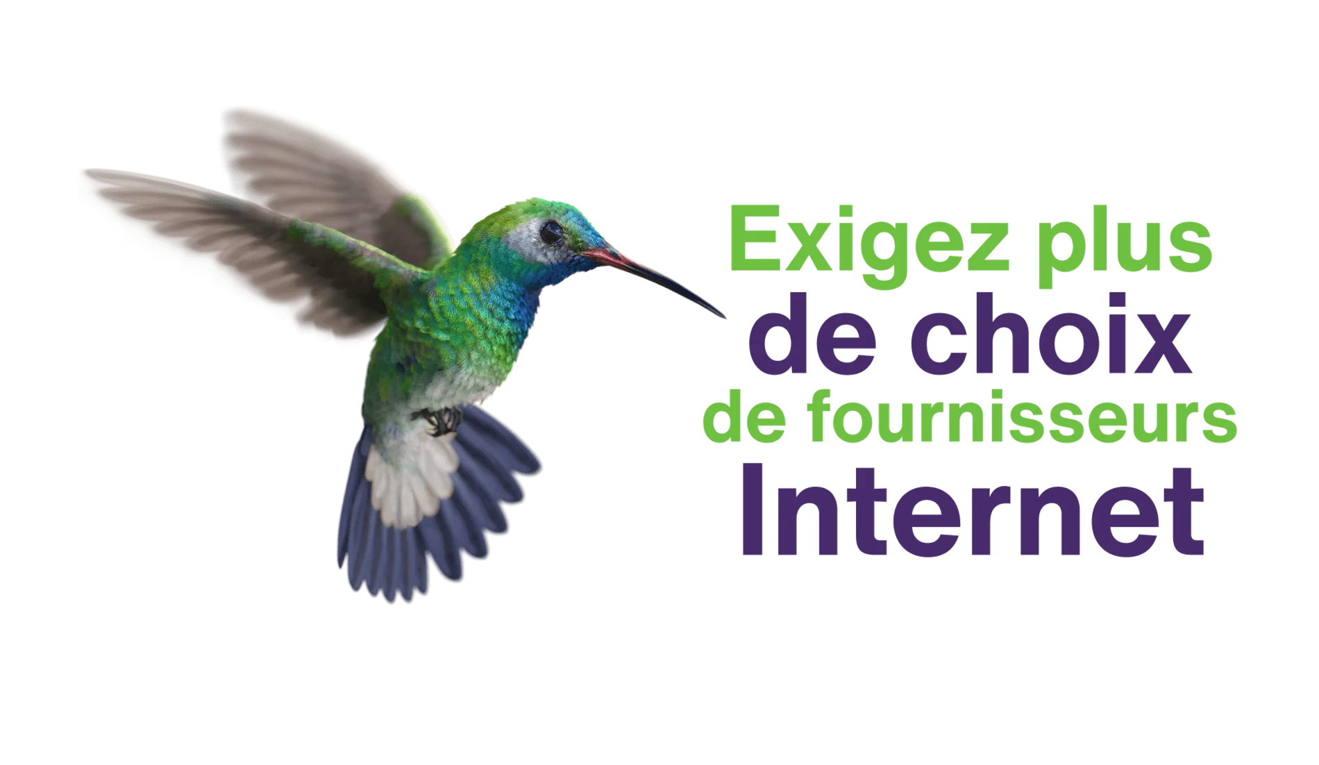 Un colibri qui survole le texte suivant: Exigez plus de choix de fournisseurs Internet.