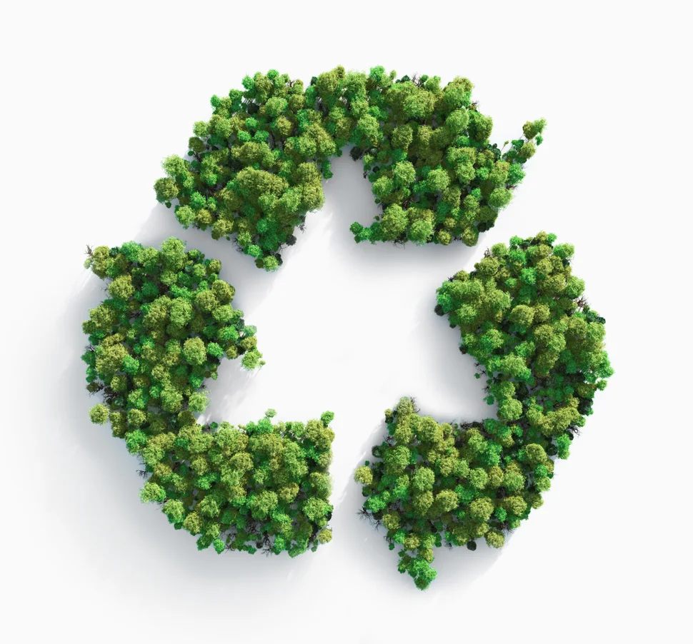 Un symbole de recyclage de couleur verte