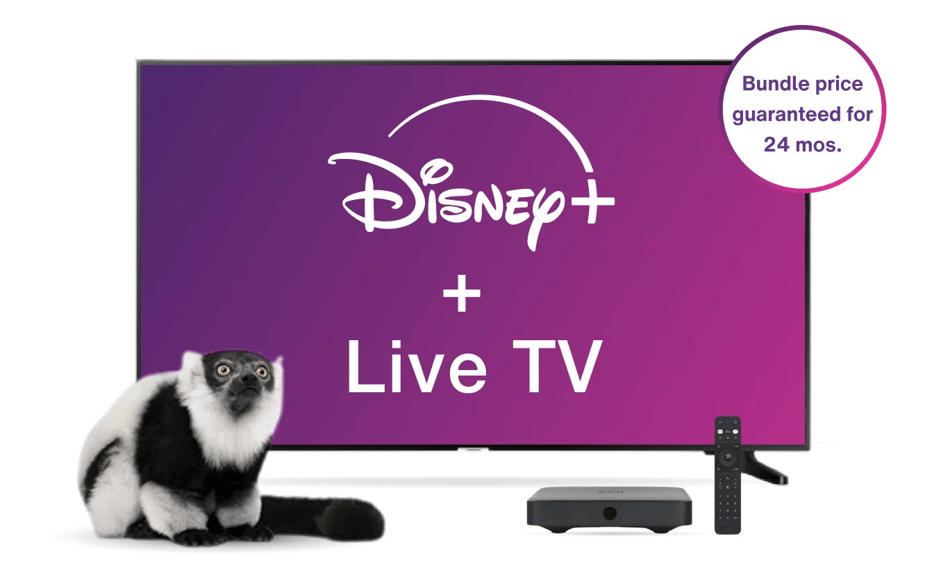 A TV displays the Optik TV offer of live TV and Netflix together with a TELUS TV Digital Box while a lemur looks on.