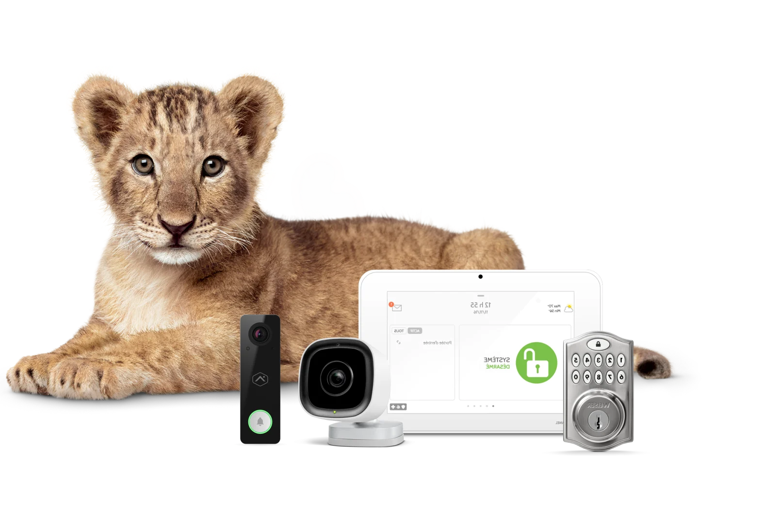 Front view of an Outdoor Camera with other SmartHome Security monitoring devices.