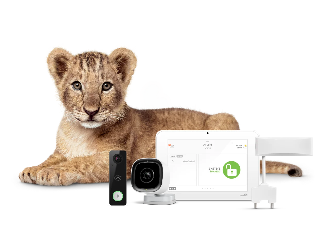 A lion cub stares reassuringly at you. In front of her is a TELUS SmartHome Security bundle.