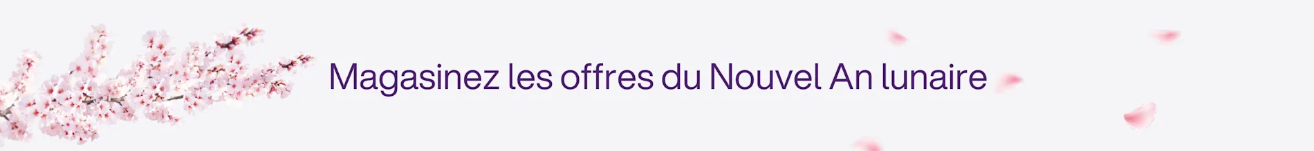 Shop Lunar New Year deals