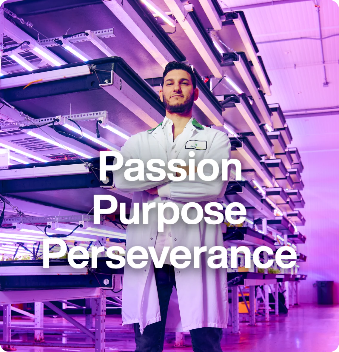 Georges Aczam ‌standing in indoor hydroponic farm overlaid with words, “passion, purpose, perseverance”