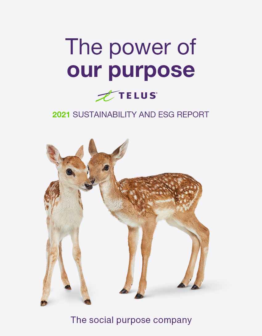  2021 Sustainability report cover