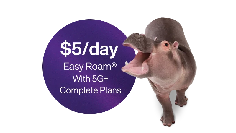 '$5/day Easy Roam® with 5G+ Complete Plans'.