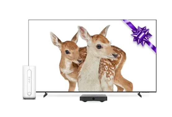 A TV and TELUS modem. The TV screen displays two deer and a purple bow.