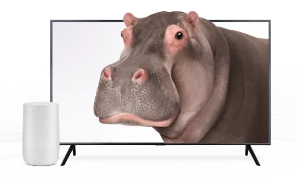 A TV and TELUS modem. The TV screen displays a hippo.