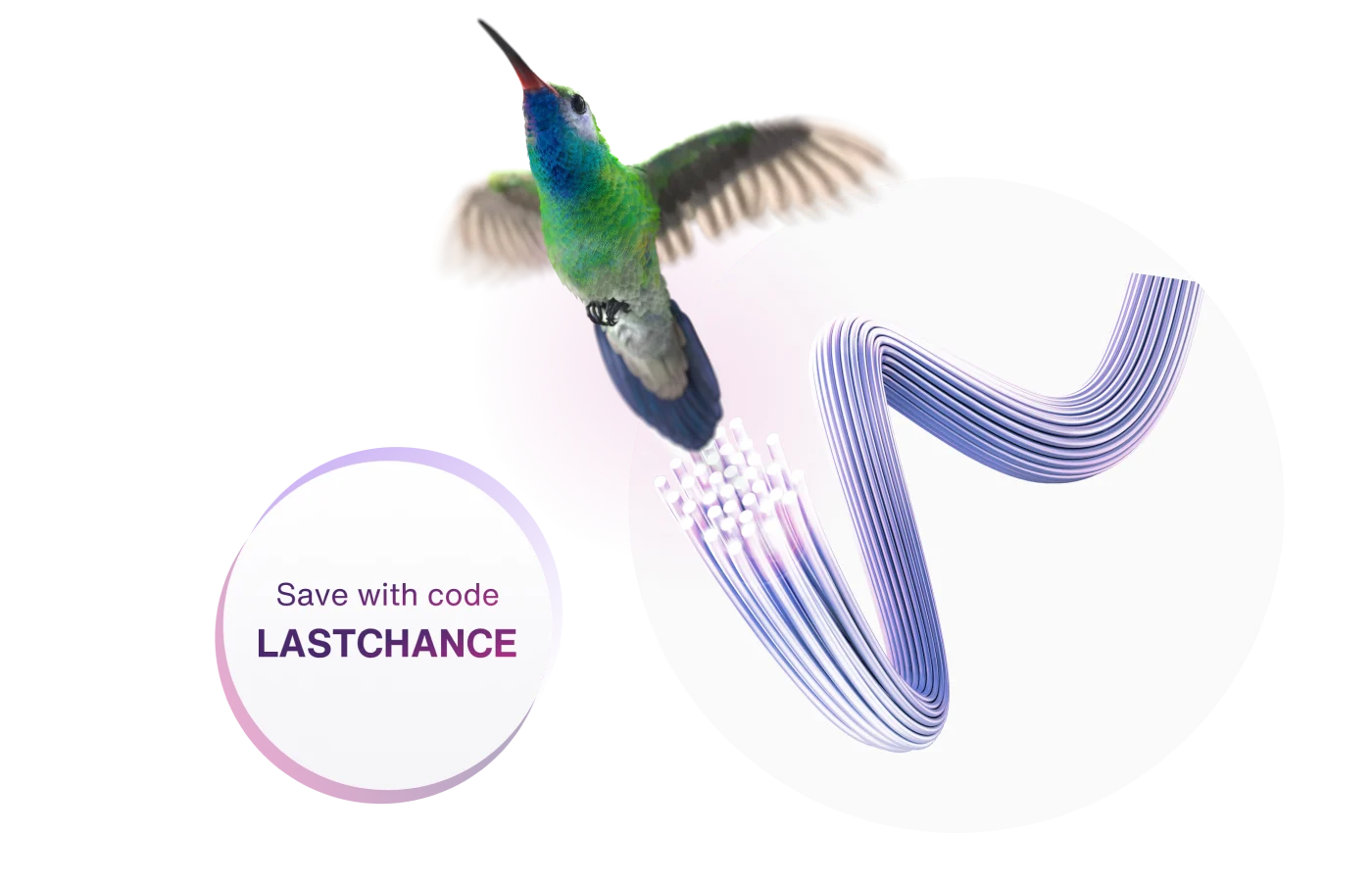 A flying humming next to a text that reads ‘save with code LASTCHANCE.’