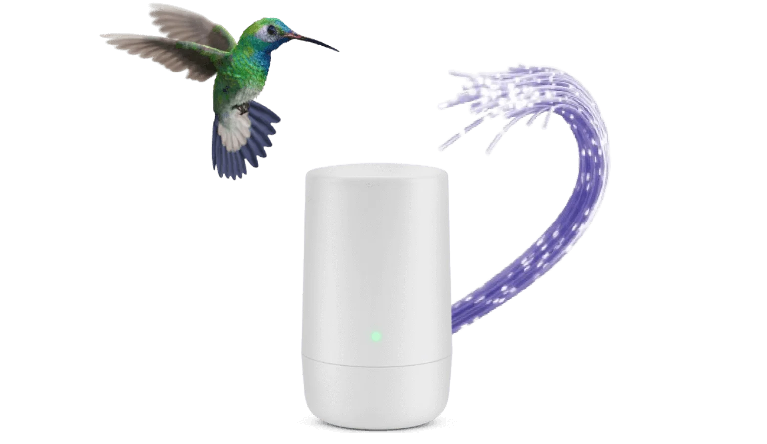 A hummingbird hovers over a TELUS modem and a purple Purefibre, fibre optic cable