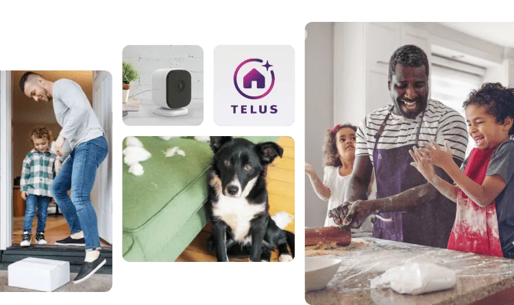 4 scènes Maison connectée : femme avec téléphone, chien près d’une caméra, famille avec tablette et homme récupérant un colis