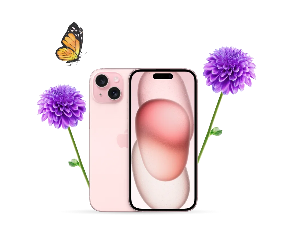 Avant et arrière d’un iPhone 15 de couleur rose, flanqué de dahlias violets éclatants. Un papillon virevolte autour.