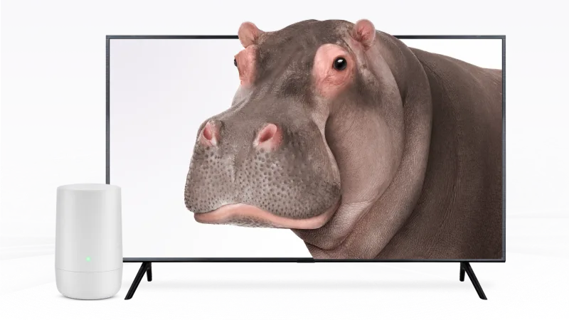 A TV and TELUS modem. The TV screen displays a hippo.