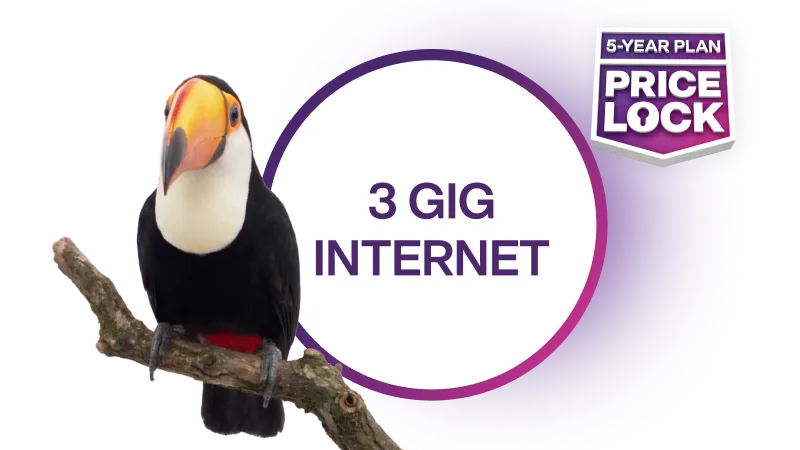 Toucan on a branch next to text reading "3 GIG INTERNET" and a "5-YEAR PLAN PRICE LOCK" badge.