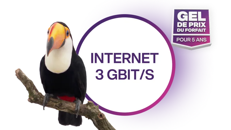 Un toucan sur une branche, à côté du texte « INTERNET 3 GBIT/S » et du badge « Gel de prix du forfait pour 5 ans ».