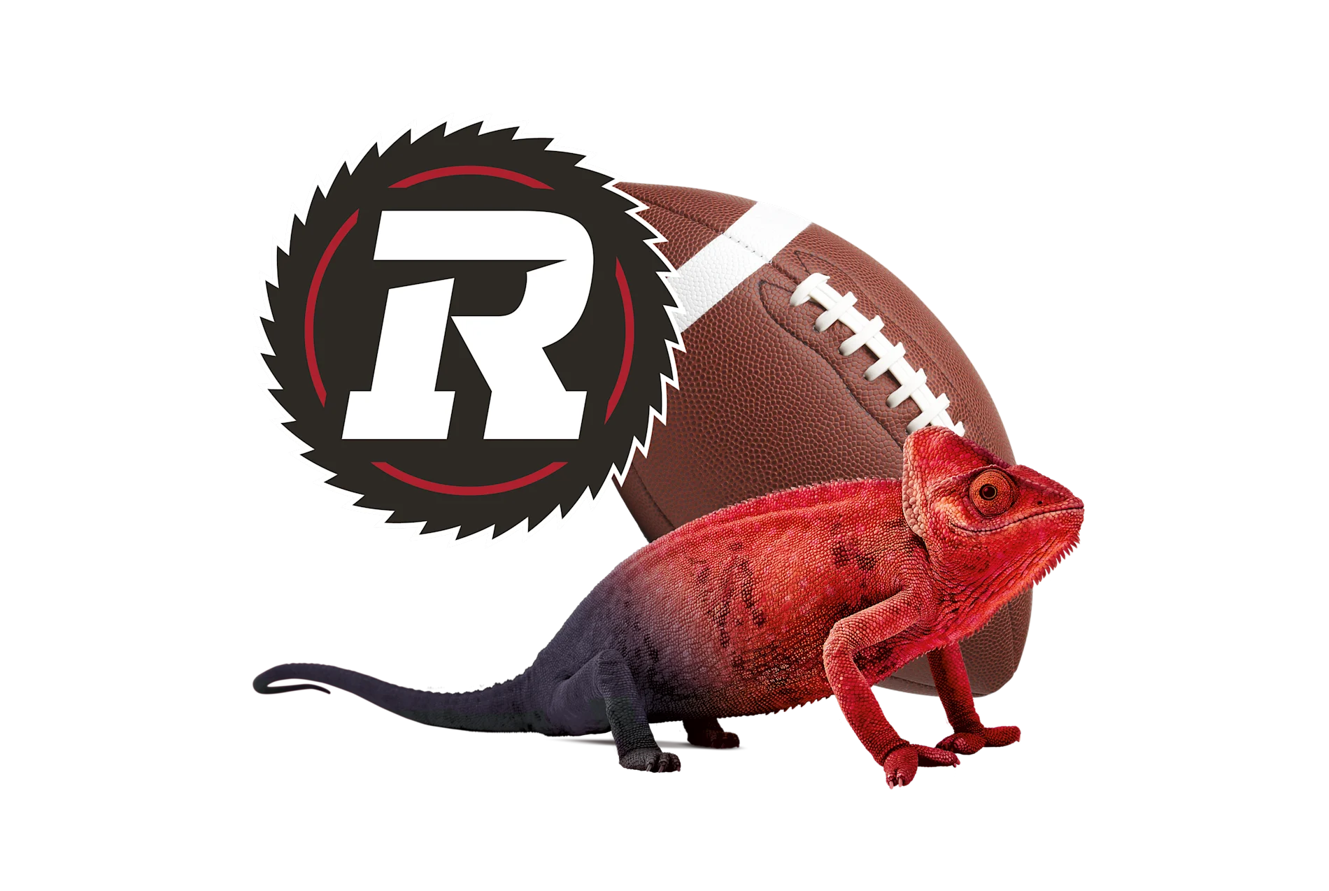 Ottawa REDBLACKS 'R' logo next to a football, with a red-to-black gradient chameleon in the foreground.