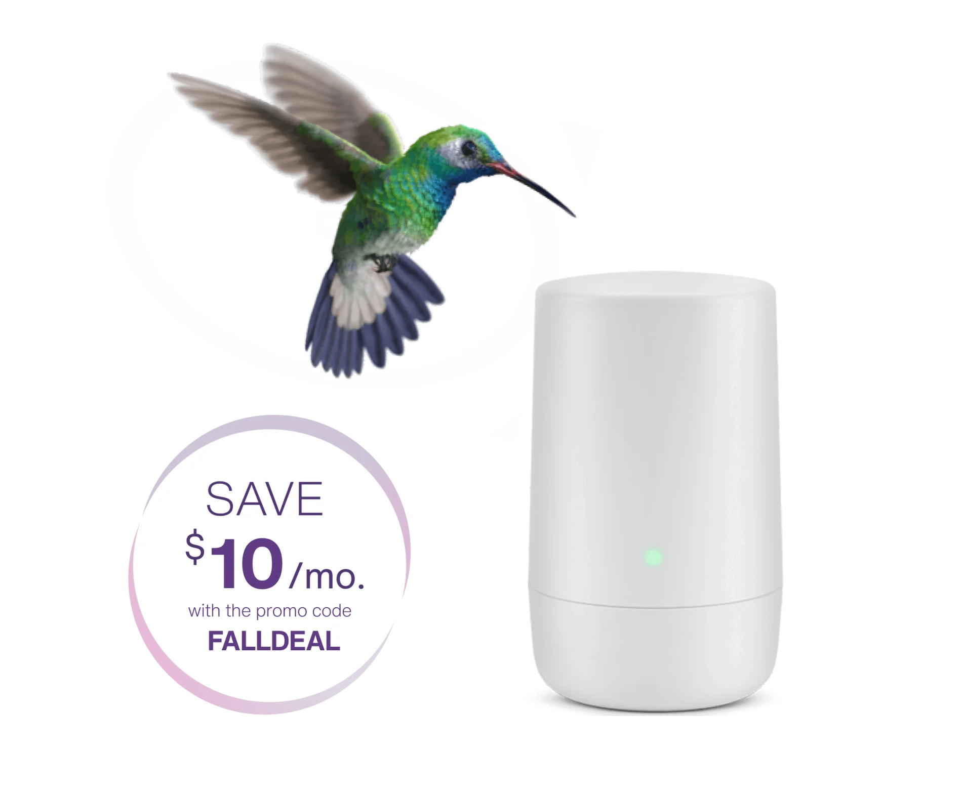 An image showing a hummingbird beside a TELUS Internet Modem with a roundel "Save $15/mo. with promo code SUMMERDEAL".