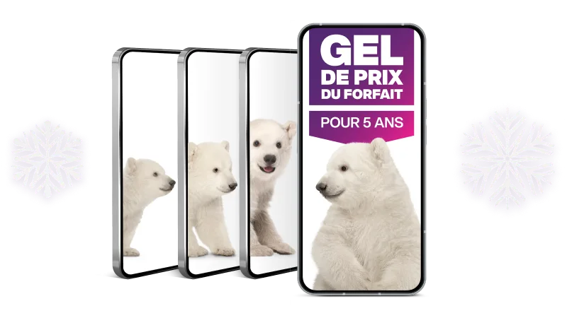 Quatre téléphones intelligents disposés en cascade, chacun affichant des images d’un ourson polaire dans différentes positions.