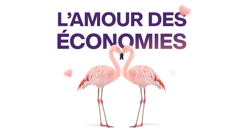 « L’AMOUR DES ÉCONOMIES ». Deux flamants roses se font face. Leurs cous sont courbés pour former un cœur, avec de petits cœurs flottants éparpillés autour.