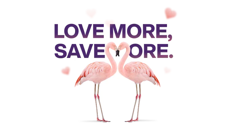"LOVE MORE, SAVE MORE". Two pink flamingos standing face-to-face Their necks curved to form a heart shape, with small floating hearts scattered around.