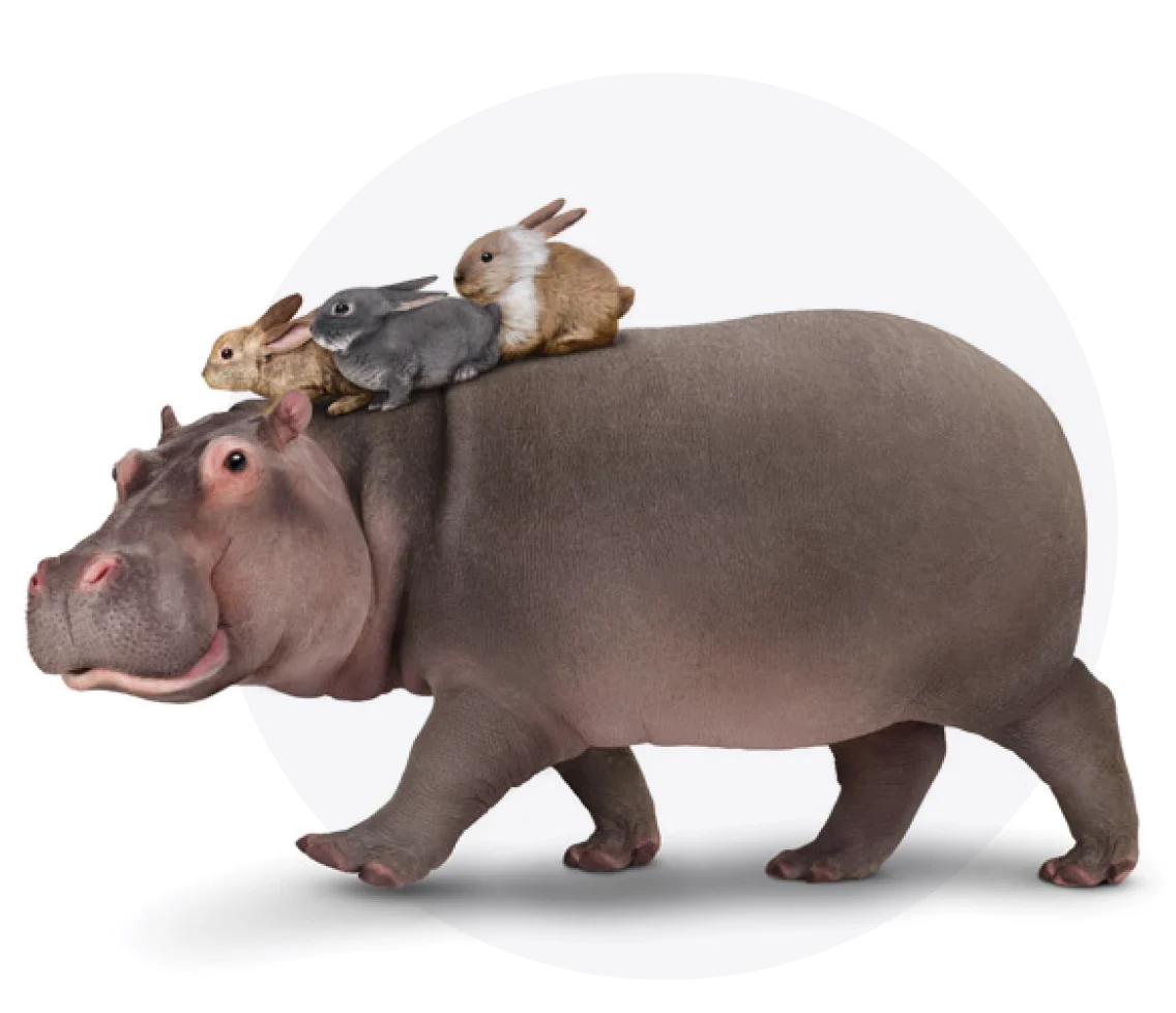 A hippo with three rabbits riding on its back, representing big savings on phone plans with TELUS Family Discount.